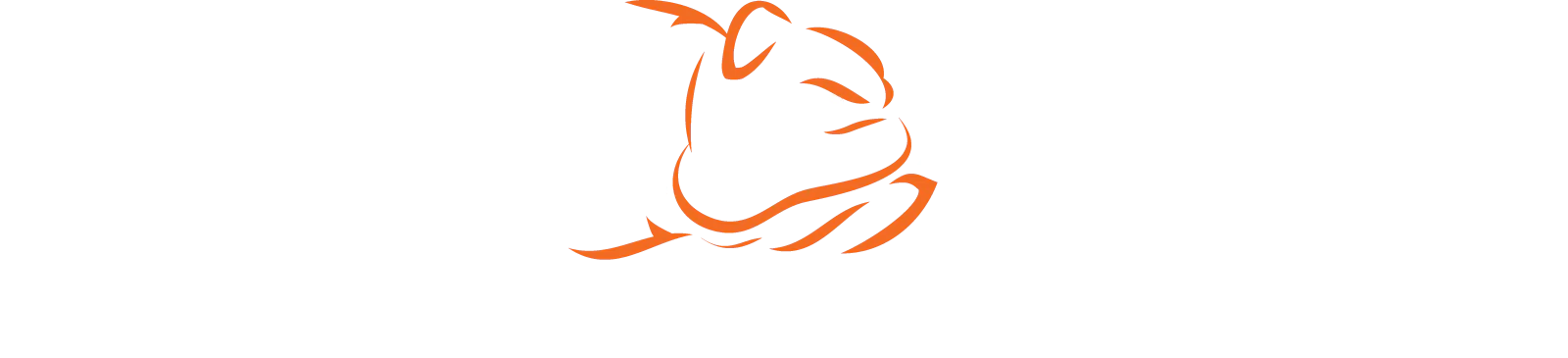Bad Boy Mowers